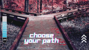 Choose Your Path